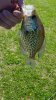 20190421_100850.jpg