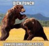 dick punch.jpg