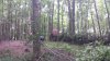 20180907_131631_resized.jpg