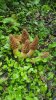 20190529_094229.jpg