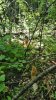 20190602_092125.jpg