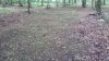 20190531_081627.jpg