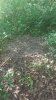 20190627_191101.jpg