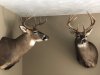 Image1562685796.726804.jpg