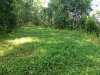 IMG_20190703_093248573.jpeg