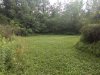 IMG_20190712_164545452.jpeg