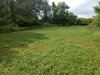 IMG_20190712_164532977.jpeg