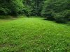 20190716_123710.jpeg