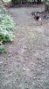 IMG_20190723_093409_hdr.jpg