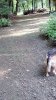 IMG_20190723_093348_hdr.jpg
