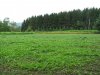IMG_0512.JPG