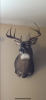FDF35AFF-8C41-46F1-B8C2-E8721489BFE5.png