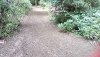 IMG_20190731_104110_hdr.jpg