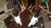 20180330_061045.jpg