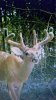 20190627_005824.jpg