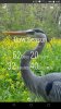 Screenshot_20190809-092720.jpeg