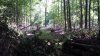 20190815_104347.jpg