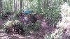 20190815_104300.jpg