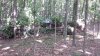 20190815_104224.jpg