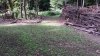 20190815_113711.jpg