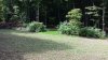 20190815_113620.jpg