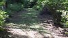 20190815_110719.jpg