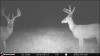 E02976E1-5159-42A6-89A7-A44D30FED8C1.png