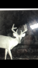 D80FB09C-B6DA-4275-9F77-EB667298ED32.png
