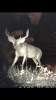C5D4A11C-0087-4A6D-AC44-714FD00A2B34.png