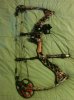 loaded up bow 003.jpg