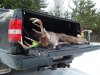 IMG_20111111_101510.jpg