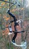 z in tree 002.jpg