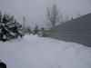 IMG_3828.jpg