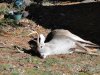 DSC00102.jpg