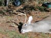 DSC00103.jpg