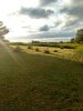 IMG_20190827_183237001_HDR.jpeg