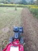 IMG_20190827_184454490.jpeg