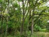 20190831_132218.jpeg