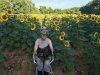 Sunflowers July 2019.jpg