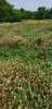 20190705_113024.jpg