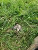 20190901_165806.jpeg