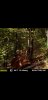 Screenshot_20190901-220823_Gallery.jpg