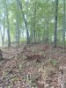 IMG_20190901_160222508.jpeg