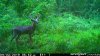 3DF5639F-BD42-469D-8375-EC959DD0F060.jpeg
