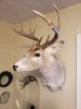 20180919_085220.jpg