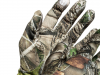 Gloves.png