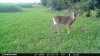FB_IMG_1567596046280.jpg