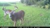 FB_IMG_1567596019498.jpg