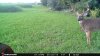 FB_IMG_1567596064532.jpg