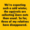 nuts.png